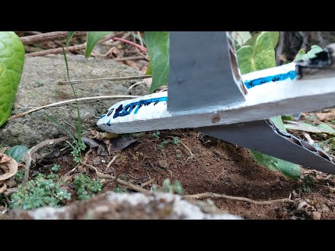 LOT Polish Airlines flight 5055