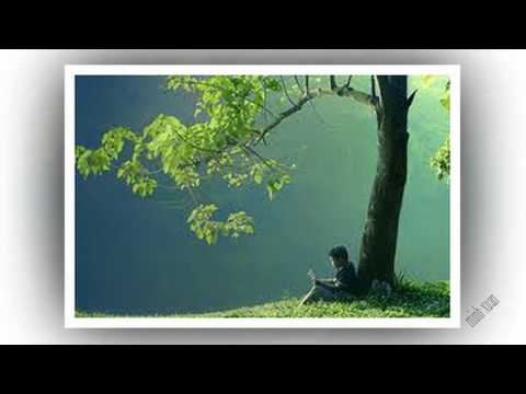 Lời hứa - Duy Khoa