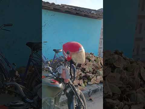 cidade de pedras de fogo paraiba