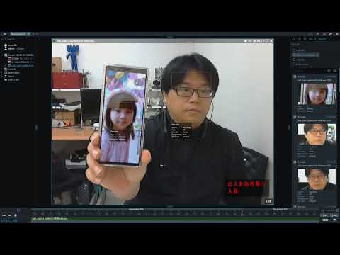 Visionlabs LUNA to Nx