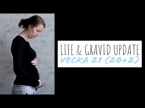 Life & Gravid update