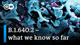 Download lagu Even more mutations than omicron: Is the new COVID variant a cause for concern? | DW News mp3 Download lagu Even more mutations than omicron: Is the new COVID variant a cause for concern? | DW News mp3