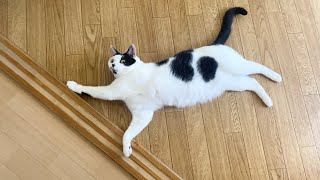 なにそれ！