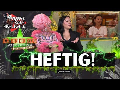 Claudia Obert KOMPLETT AUSFALL in der Stunde danach & davor? „Samira hat keinen Horizon!“ #ibes