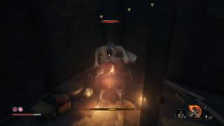[SEKIRO]＃12 完全初見のぴん吉のセキロー