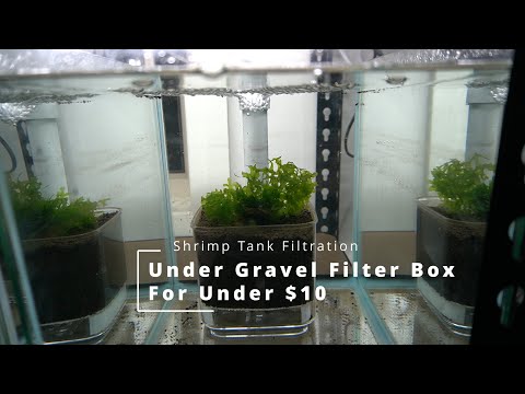 Shrimp aquarium tank UGF Filter DIY under $10