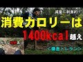 【減量】消費カロリーは1,400kcal越え!鎌倉トレイルラン【糸井トレーナー】
