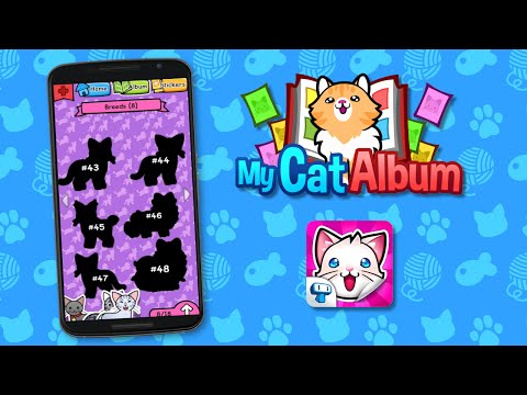 My Cat Album - Adorable Kitty  Video