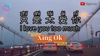 Download lagu 只是太爱你  Zhi Shi Tai Ai Ni | Mandarin Song Cover mp3