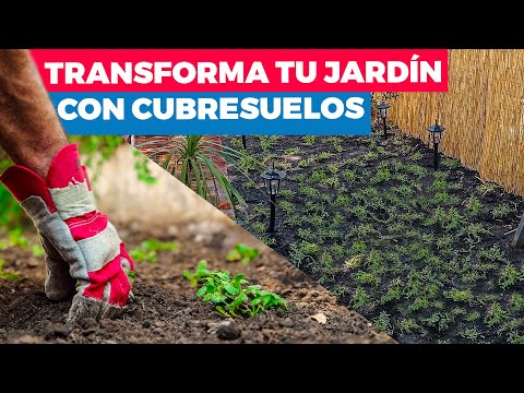 , title : 'Cómo transformar tu jardín con cubresuelos'