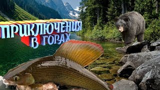 Горная шория - рыбалка
