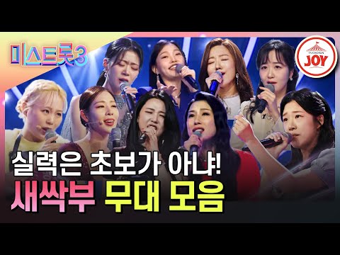 [미스트롯3]새싹이라고 얕보면 큰코다쳐요 미스트롯3 1라운드 새싹부 무대 모음♪(231221 방송 외)