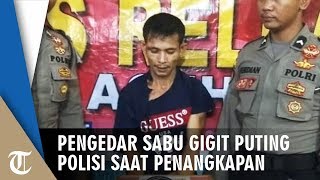 Puting Susu Polisi Digigit Pengedar Sabu saat Penangkapan hingga Alami Luka Serius