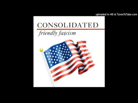 Consolidated - Music Has No Meaning