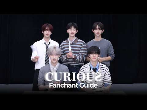 &lsquo;Curious&rsquo; Fan Chant Guide | AND2BLE