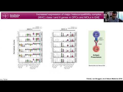 Dr Gonçalo Castelo-Branco - Single-cell transcriptomics [...] of oligodendroglia in MS