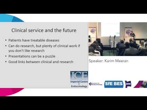 Futures 1: my future career in endocrinology