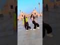 Sadiya ️ Bhojpuri Song Pawansingh Shorts Haircare