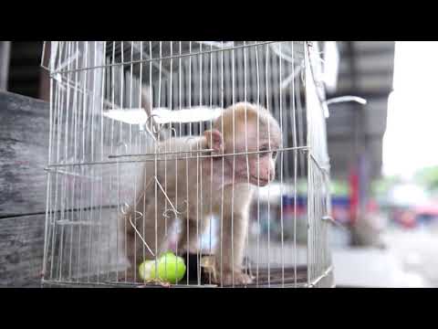 Al Jazeera - Odabrane priče - GENERIC - Subota 17:05