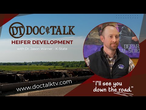 DocTalk Ep 602 - Navigating Heifer Development with Dr. Jason Warner