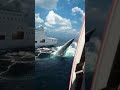 shark fish attack, ship caneda,#short #ytshort #viral #video