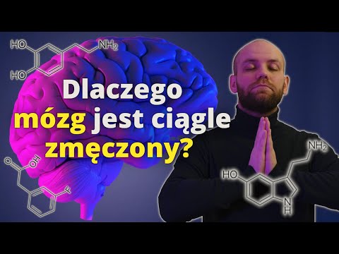 Jak wspierać pracę MÓZGU