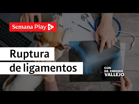 Ruptura de ligamento cruzado en perros | Enrique Vallejo