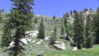 Fish Whispering episode 5, Native Cutthroat in the Bighorns!