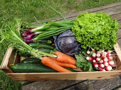 , title : 'Comment et quand récolter et cueillir ses légumes ? #permaculture'