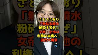 さとうさおり「小池都知事の利権の巣窟」を完全暴露で国民ブチギレ！国民大喝采#さとうさおり#小池百合子#東京都#政治#shorts