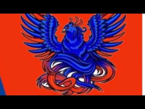 Elite Tactical Security Solutions video.