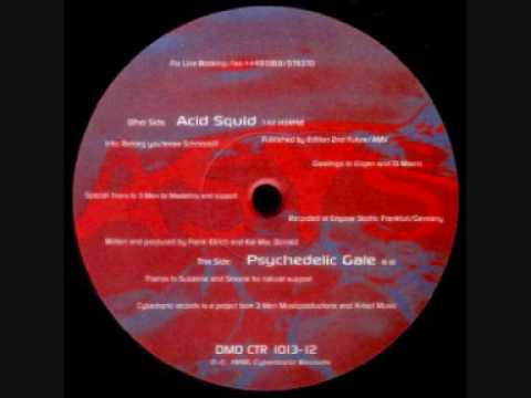 Asys - Acid Squid (CLASSIC 1996)