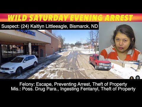Wild Arrest In Bismarck