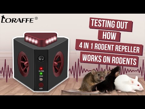 Testing out how Loraffe ZN-666 4 in 1 plug in rodent repellent works on rodents