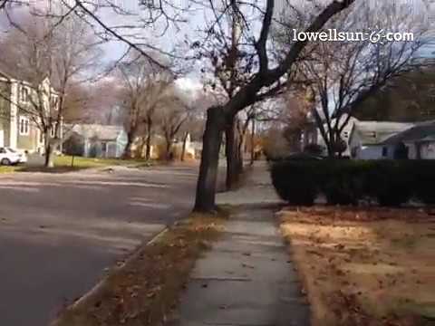 5 sad #trees in a row on Spiers Rd, Oak Hill Pk, #NewtonMA. Won't be surprised if they're removals s