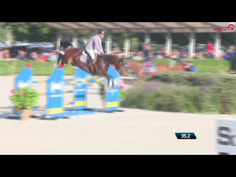 Coros 3 WM Lanaken 2021, Hengst v. Cornet Obolensky-Arpeggio, geb.2015, 1. Finalqualifikation