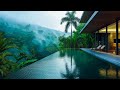 A Luxurious Infinity Pool In The Rainforest Healing With Morning Birds Chirping Stream Sounds
