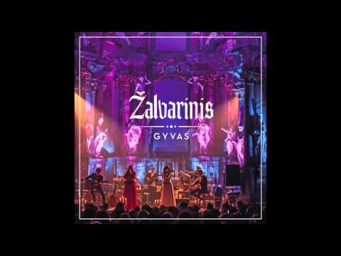 Žalvarinis ft. M.Mikutavičius - Sūnus (Live)