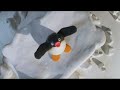 Dancing Pingu Episode 124 Smells Like Teen Spirit By Nirvana
