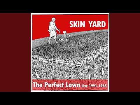 The Birds (Live 1985)