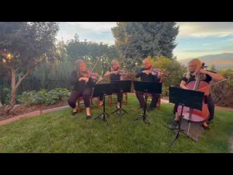 Promotional video thumbnail 2 for The Maywood String Ensemble