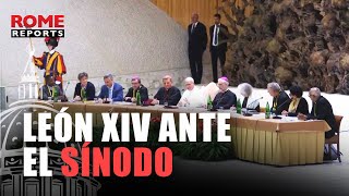 Representatives question Pope Leo on synodality and authority