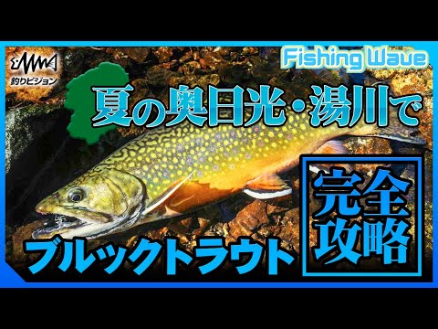 サルベリヌス・フォンティナリス