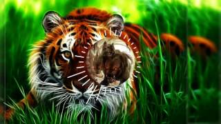 Eye Of The Tiger - (POWER METAL)