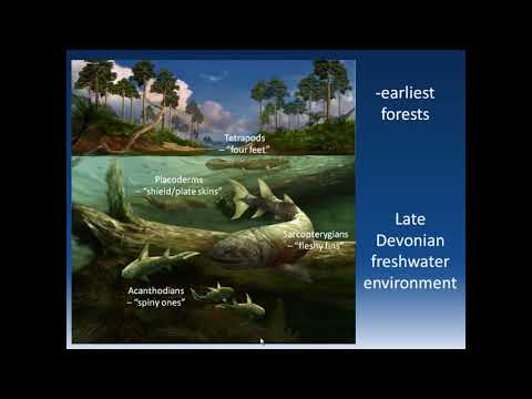 To Hay River and Back: Fieldwork on a 370-Million-Year-Old Beach in the Northwest Territories