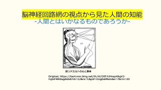 脳神経回路網の視点から見た人間の知能