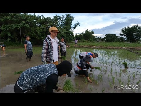 EP691-P2 - Pagtatanim ng Palay ni Sr. Harabas | Occ. Mindoro