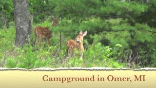 preview picture of video 'Campground Omer MI Riverbend Campground & Canoe Rental'