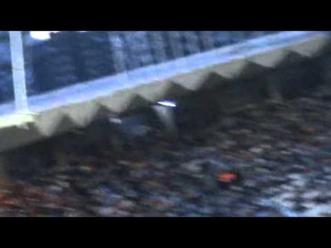 GOL DE OSKAR DE MARCOS----CELTA-1;ATHLETIC-1