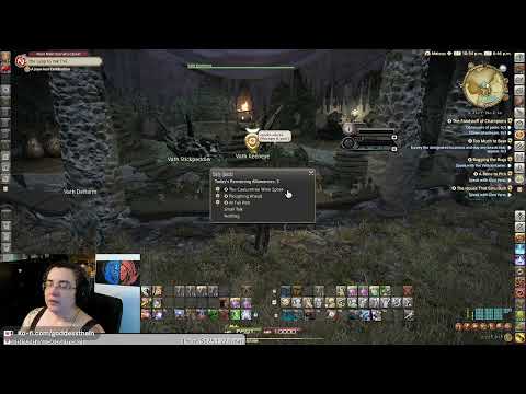 Day 149 - about The Caelumtree Wine Spree (Vath dailies)